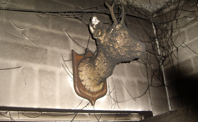 Roetschade na brand langs muur en plafond